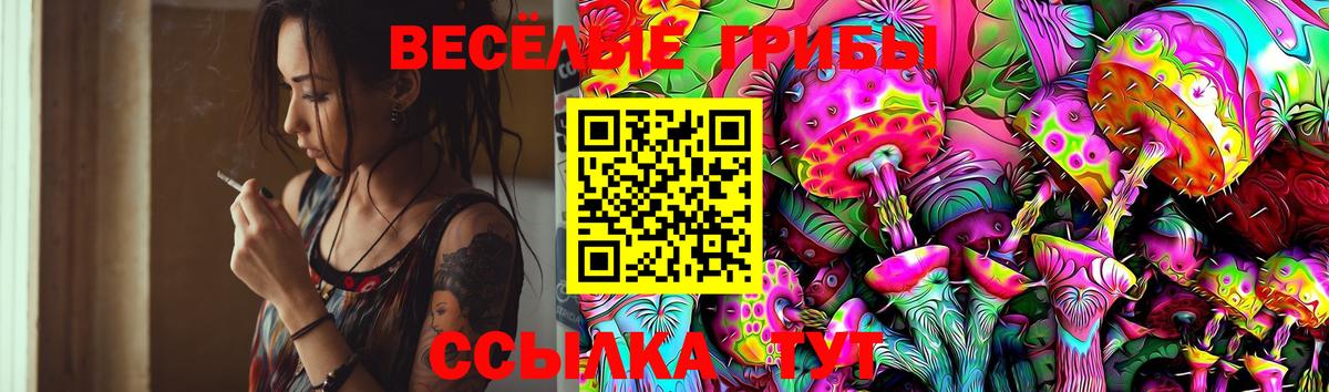 Лангепас  Галлюциногенные грибы Cubensis  Вход с VPN 